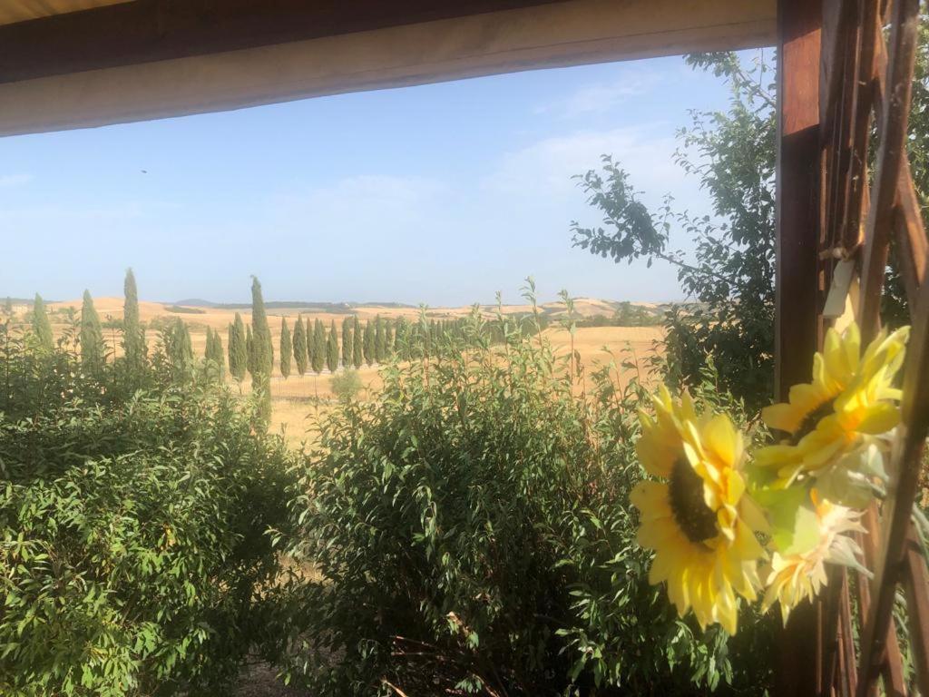 Casa Country House Girasole Vakantie Huis-Wakacje Huis Asciano Zewnętrze zdjęcie
