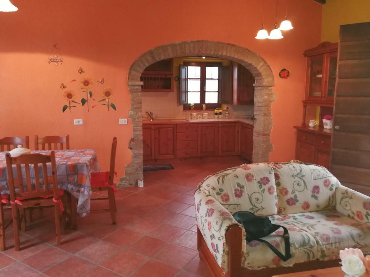 Casa Country House Girasole Vakantie Huis-Wakacje Huis Asciano Zewnętrze zdjęcie