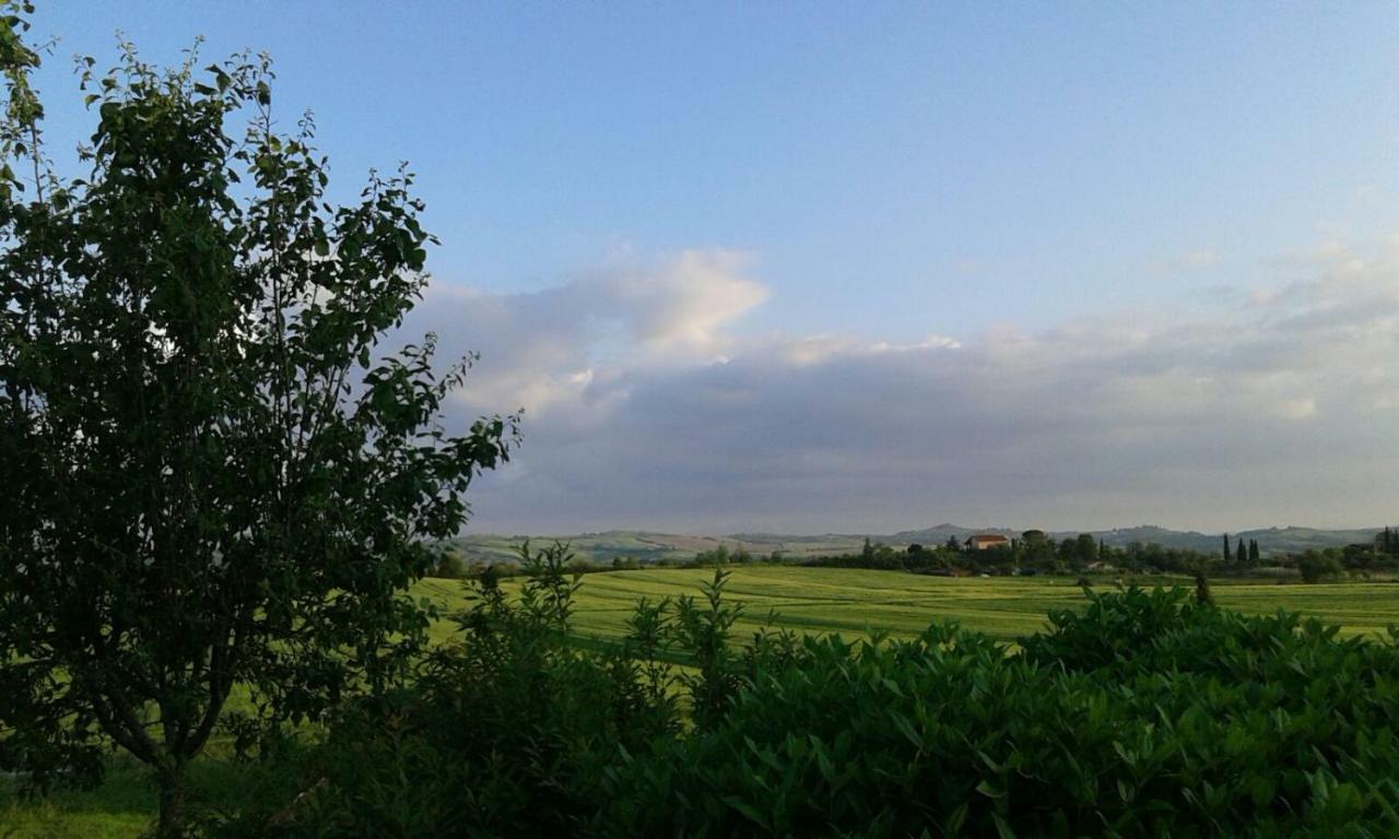 Casa Country House Girasole Vakantie Huis-Wakacje Huis Asciano Zewnętrze zdjęcie