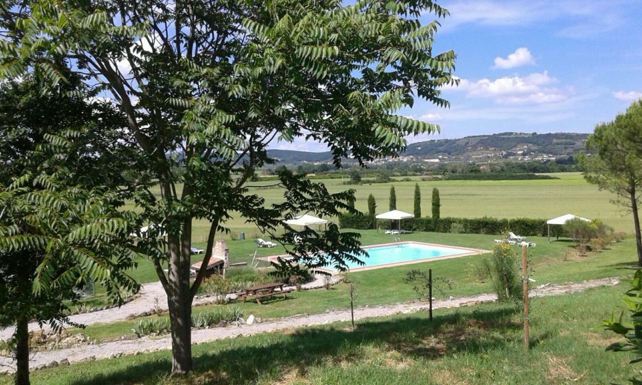 Casa Country House Girasole Vakantie Huis-Wakacje Huis Asciano Zewnętrze zdjęcie